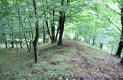 Pravěké hradisko Obersko