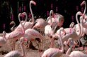 zooinventura_2016