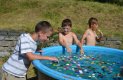 DSC_0038 (1)