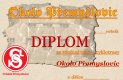 okolo_premyslovic_diplom