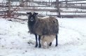 IMG_20180218_095051
