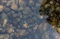 water-984058_1280