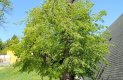 IMG_20210526_124009