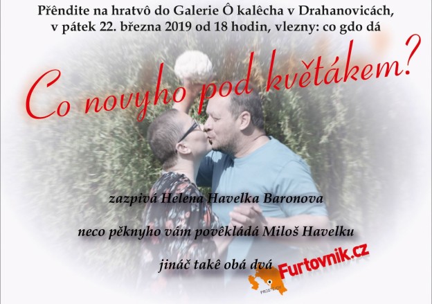 květák plakát