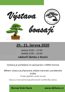 Výstava bonsají 20.6.2020